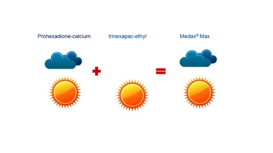 počasí a aktivace účinných látek v přípravku Medax Max