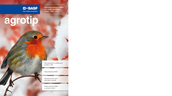 červenka na větévce