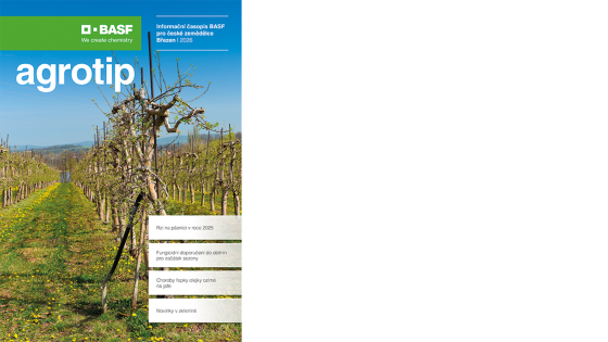 na jaře rašící ovocný sad