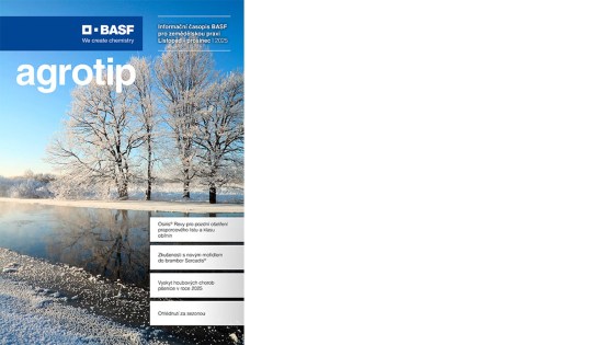 zimní krajinou protéká chladná voda