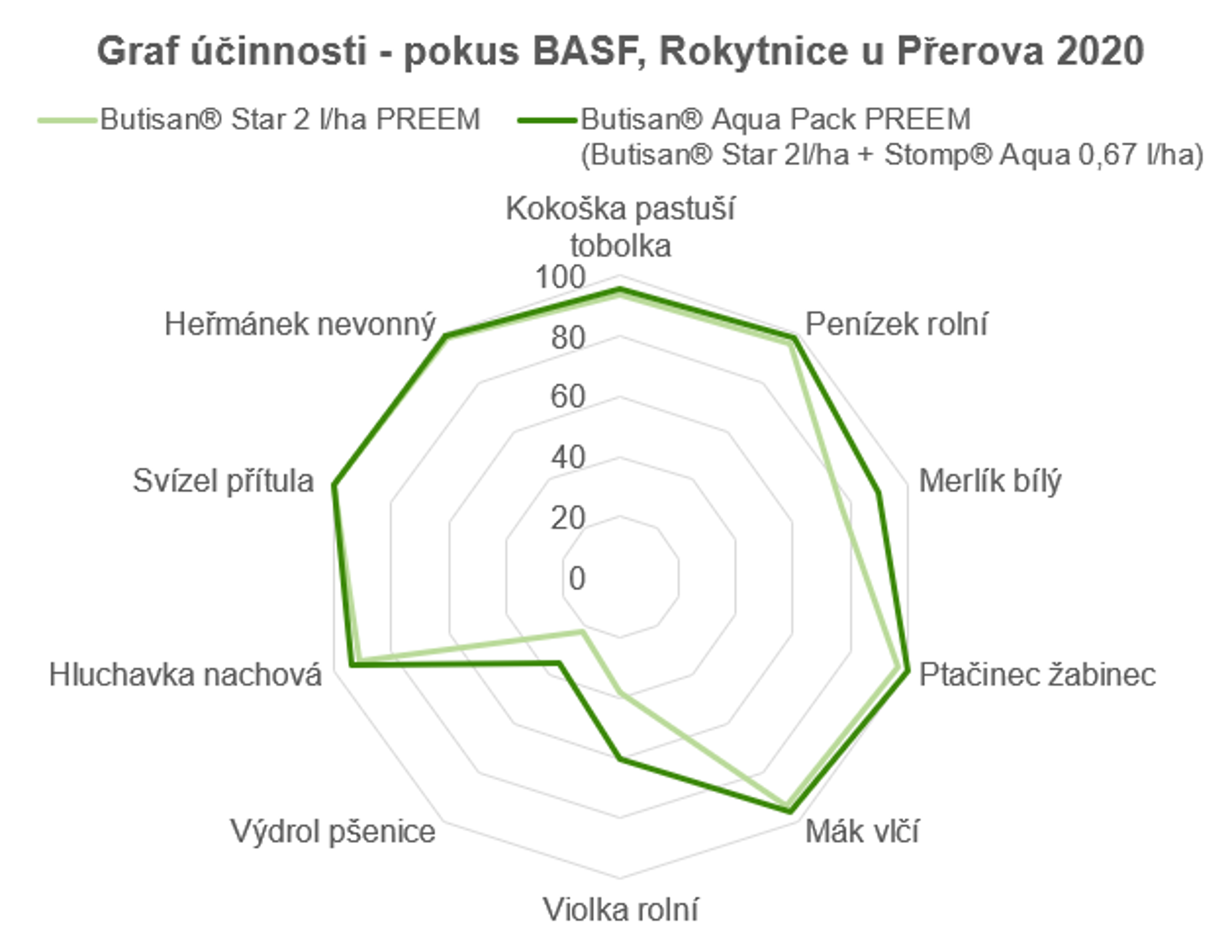 Výsledky pokusy ze zkušební stanice BASF, Rokytnice u Přerova, prohlídka účinnosti, podzim 2020