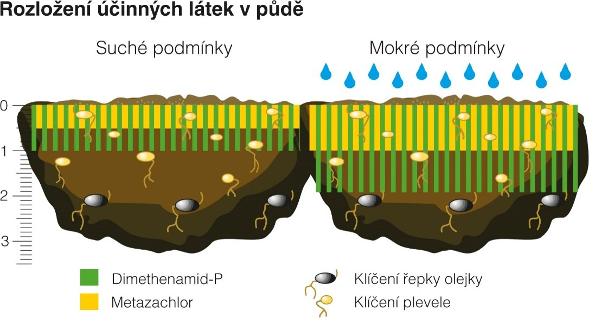 obrázek ukazuje, jak se pohybují účinné látky v půdě při suchu a za deště
