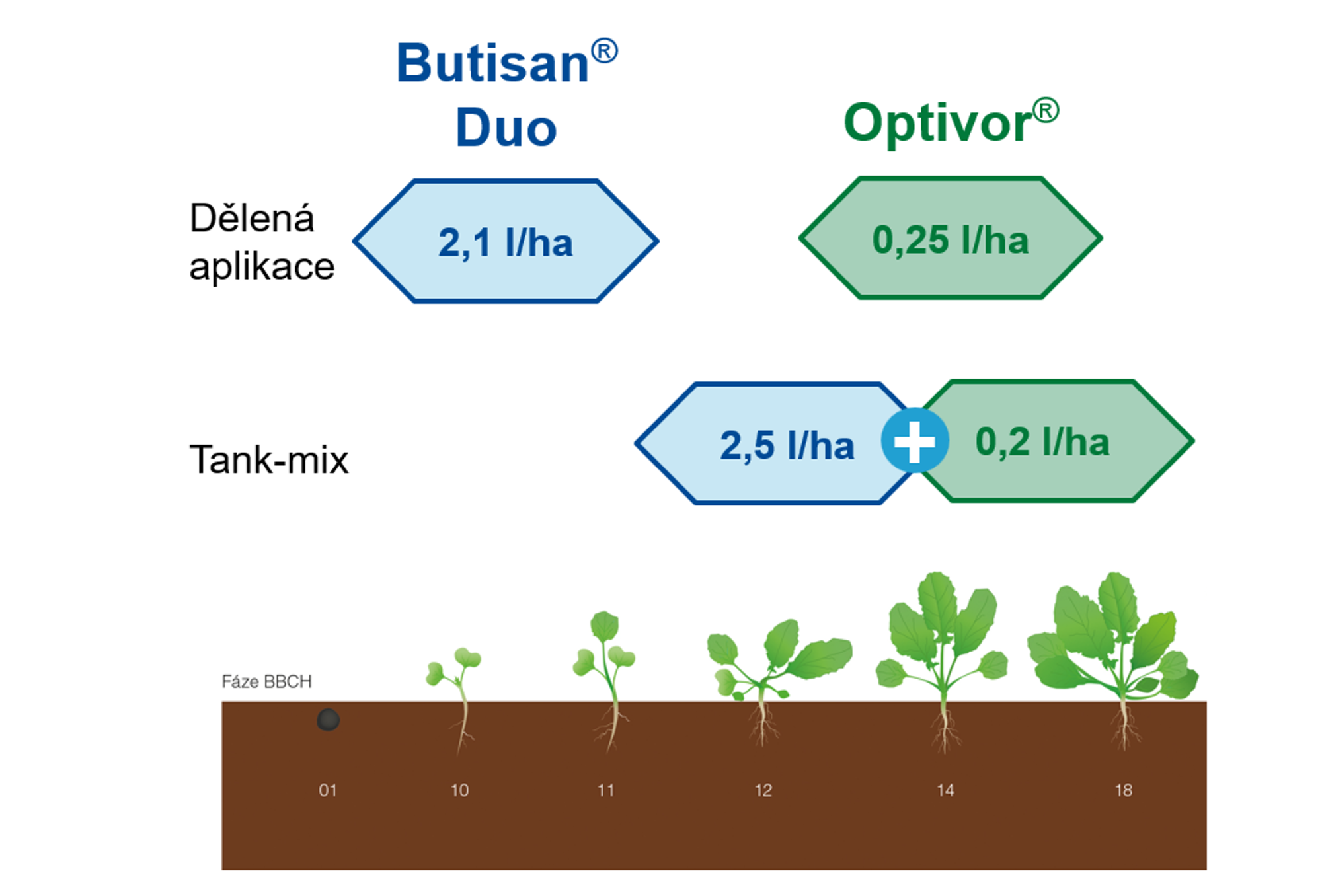 doporučení aplikace přípravků z balíčku Butisan Opti Pack do řepky olejky na podzim
