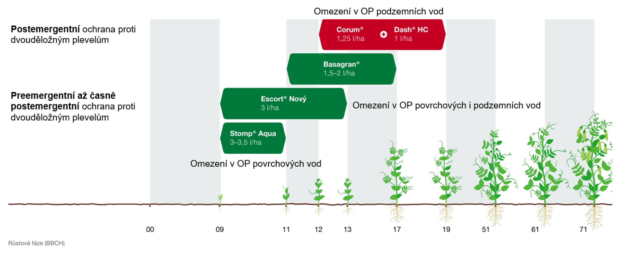doporučení pro aplikaci přípravku Corum v hrachu