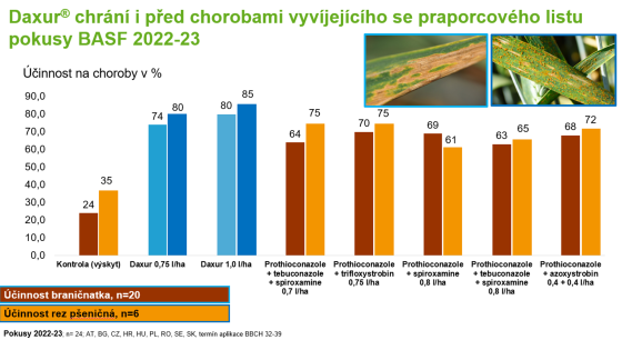 ochrana praporcového listu pšenice