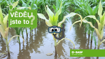 Věděli jste, že plodiny dokážou pod vodou „zadržet dech“?