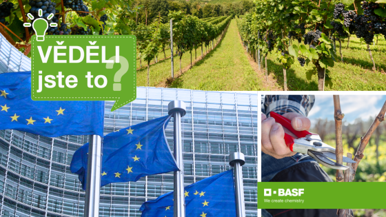 Evropská unie a snižování předpisů