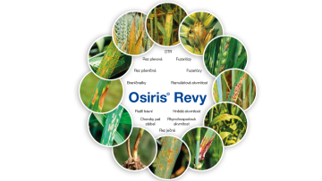Osiris Revy potlečuje velmi velké množství houbových chorob v obilninách