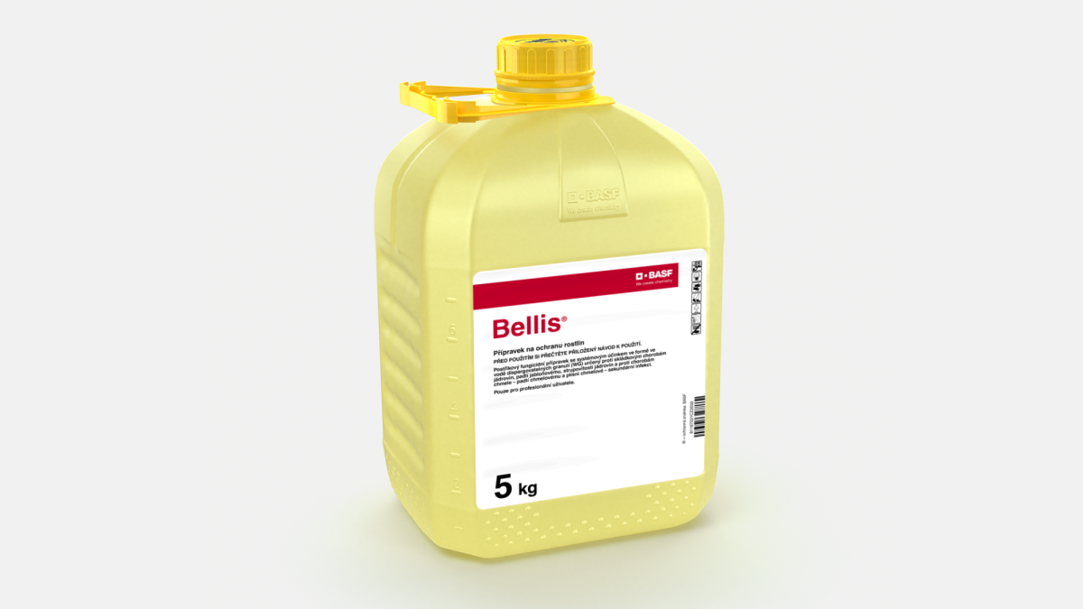 Bellis® - 58050090