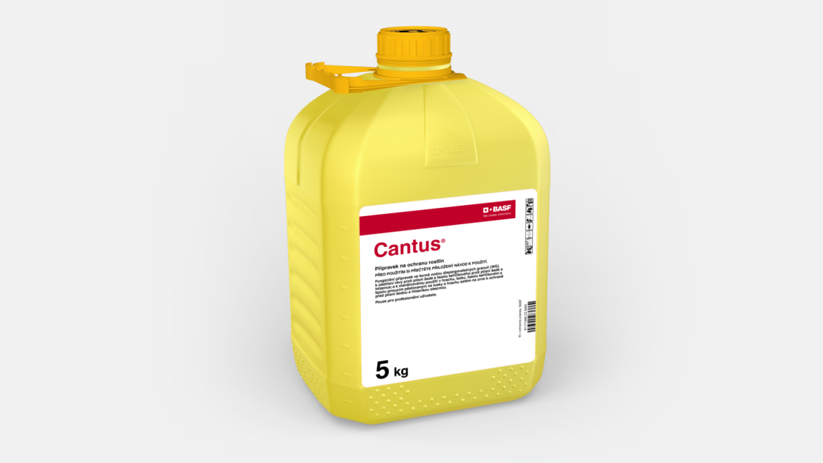 Cantus® - 58051134