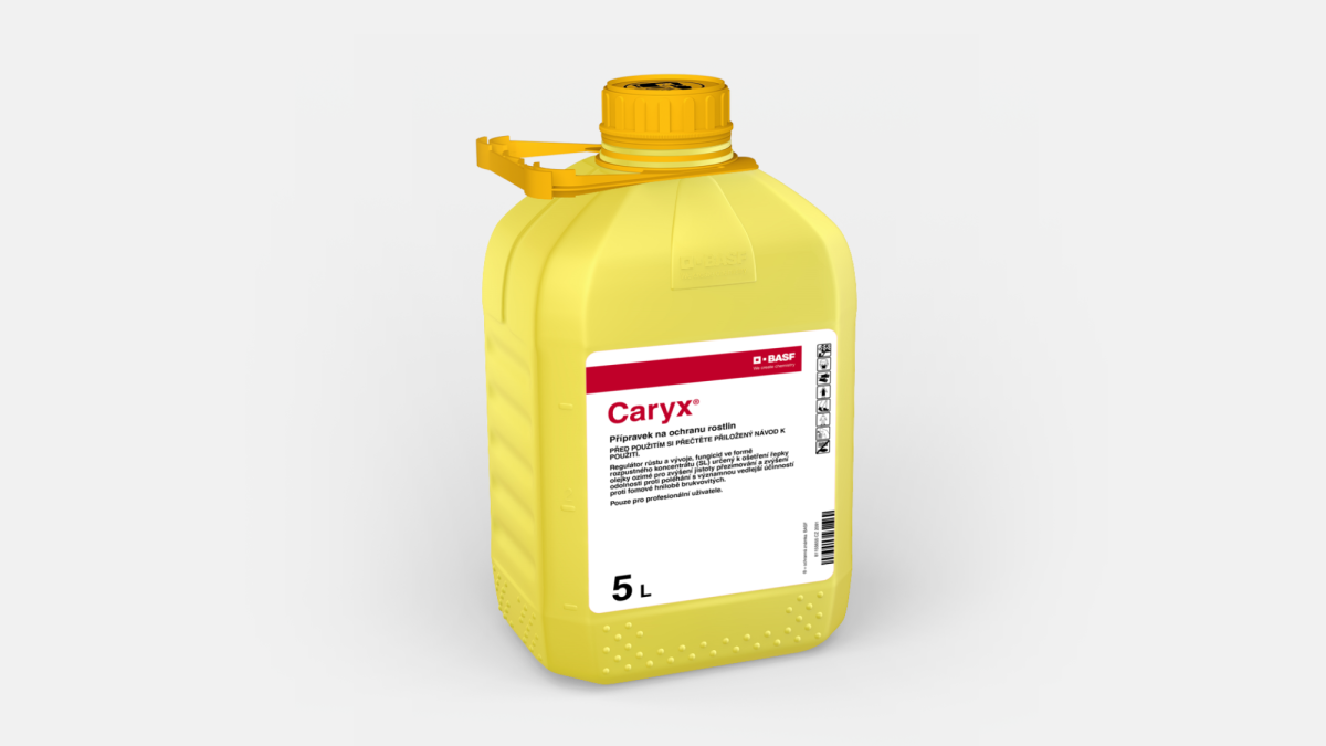 Caryx® - 58914369
