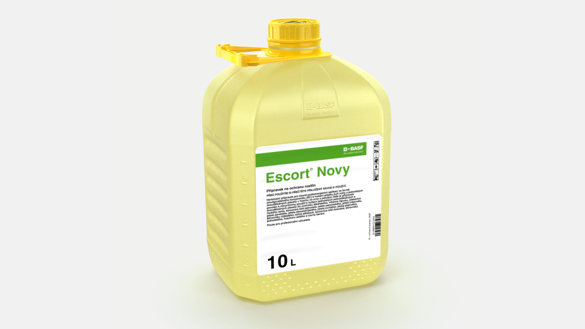 Escort® Nový