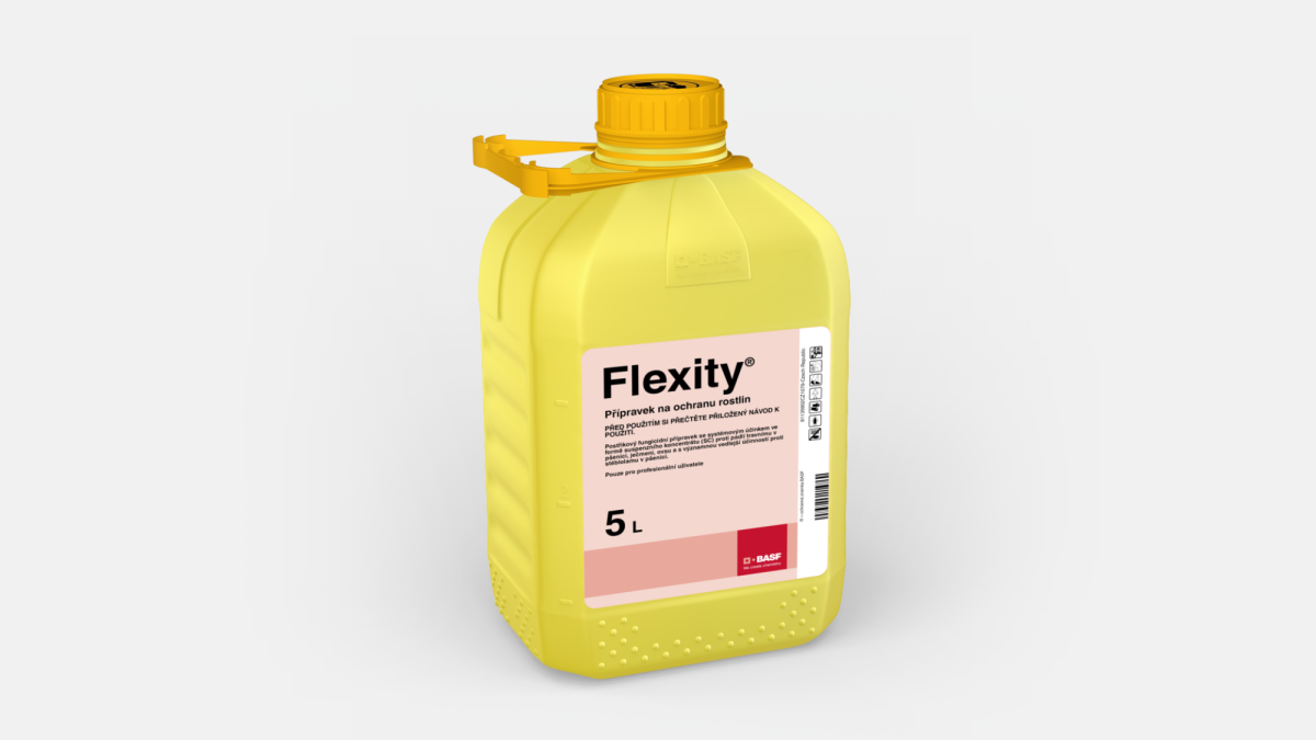 Flexity®