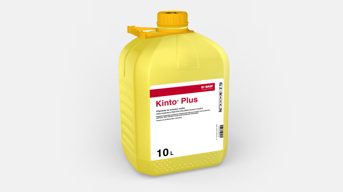 Kinto® Plus - 58068613