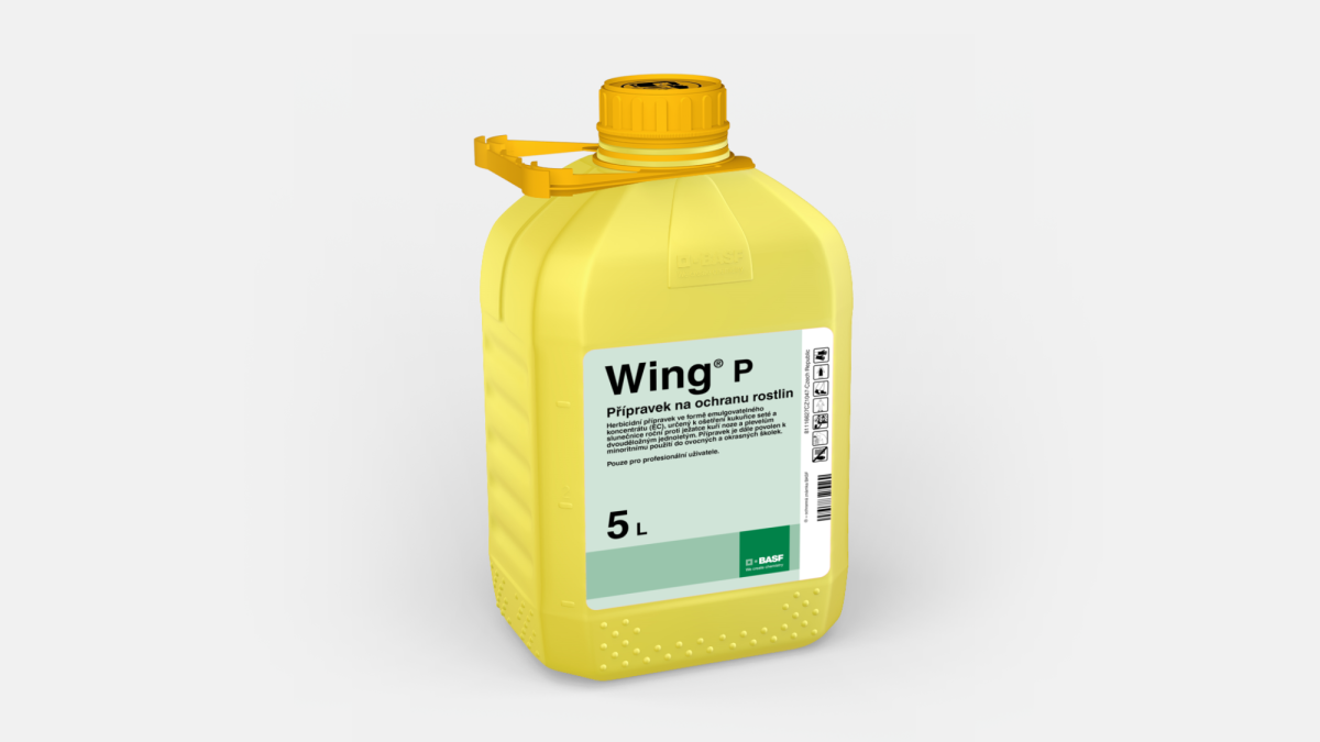 Wing® P - 58075239