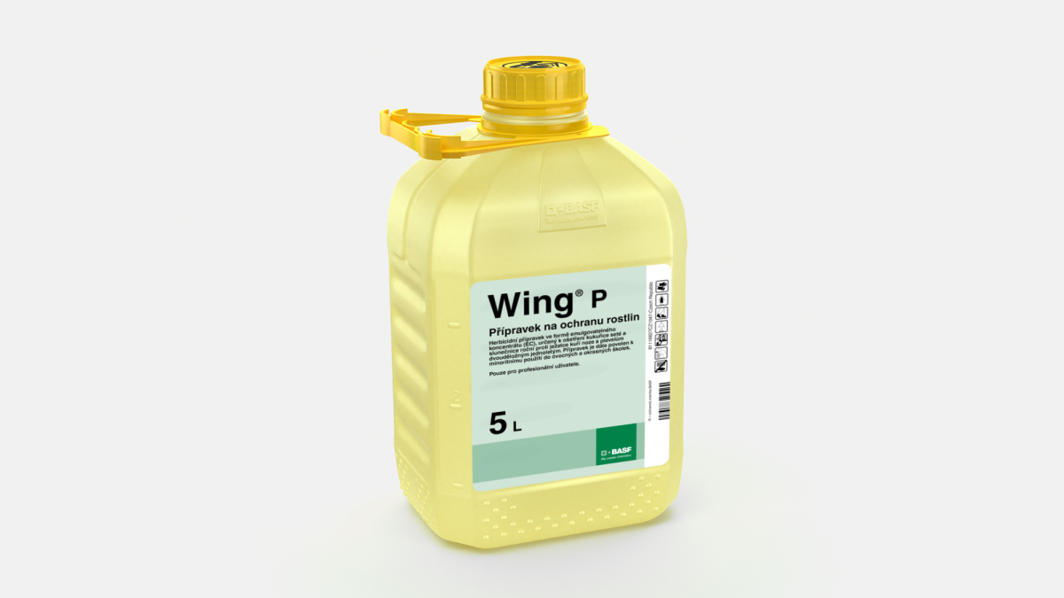 Wing® P - 58075239