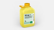 Wing-P®