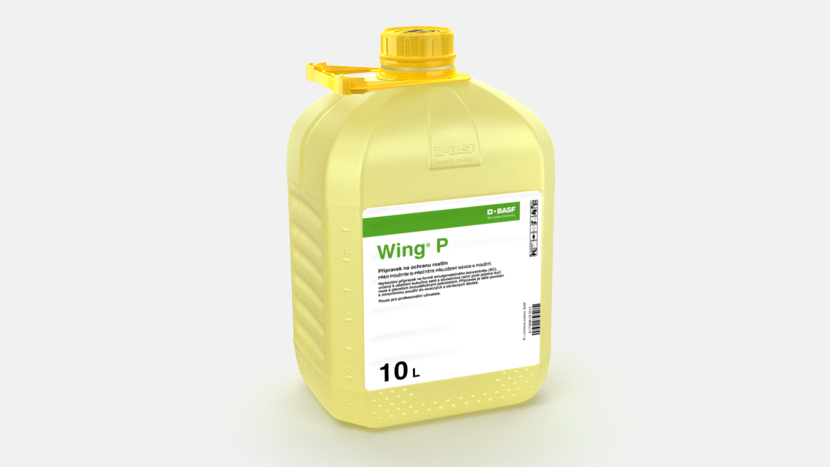 Wing® P - 58647267