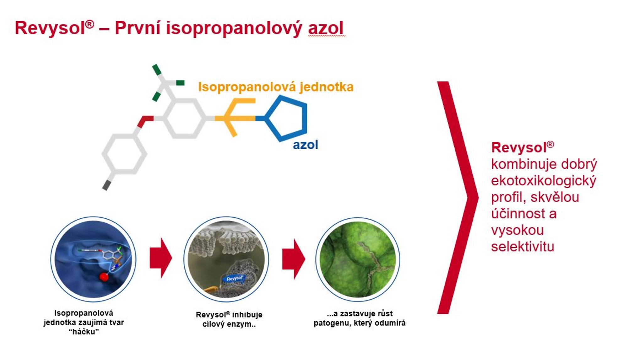 barevné grafické ztvárnění molekuly Revysolu se zvýrazněnou částí isopropanolového azolu, znázornění místa, kde molekula působí
