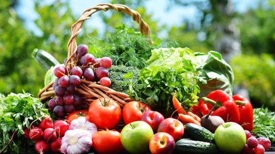 Novinky ve speciálních plodinách