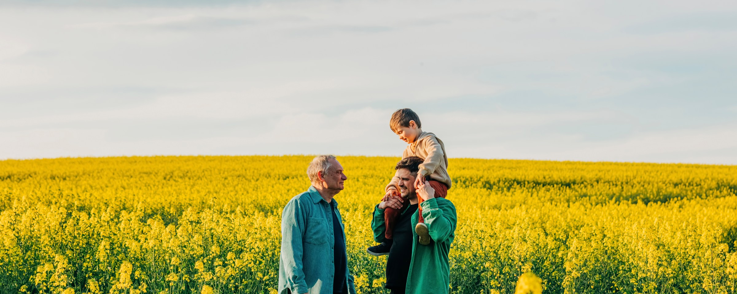 tři generace mužů v řepkovém poli, dědeček, otec a otci sedí na ramenou syn