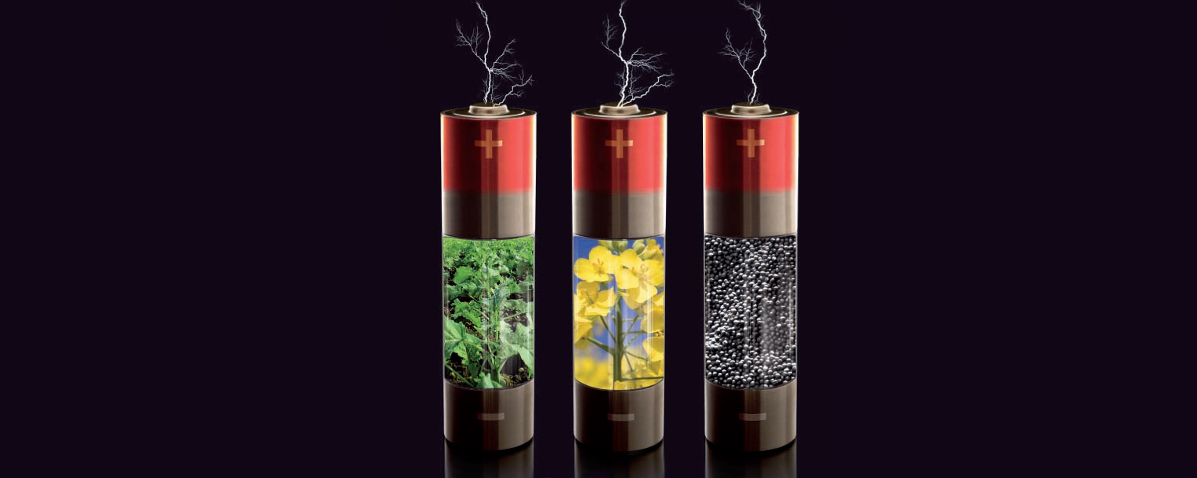 energii, kterou by rostlina věnovala růstu zelené hmoty, si může s morforegulátorem ušetřit pro další procesy baterie s energetickými blesky a znázorněním řepky v různých vývovjových fázích
