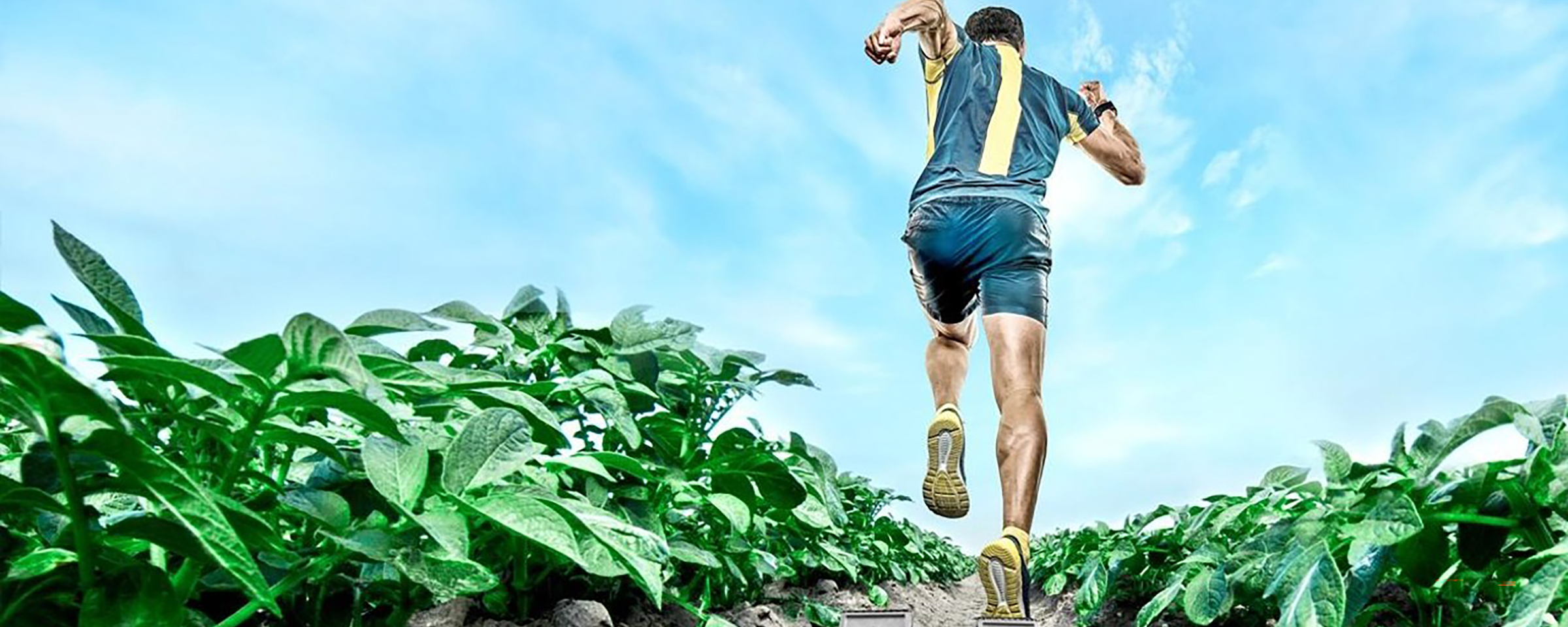 sprinter běží bramborovým polem