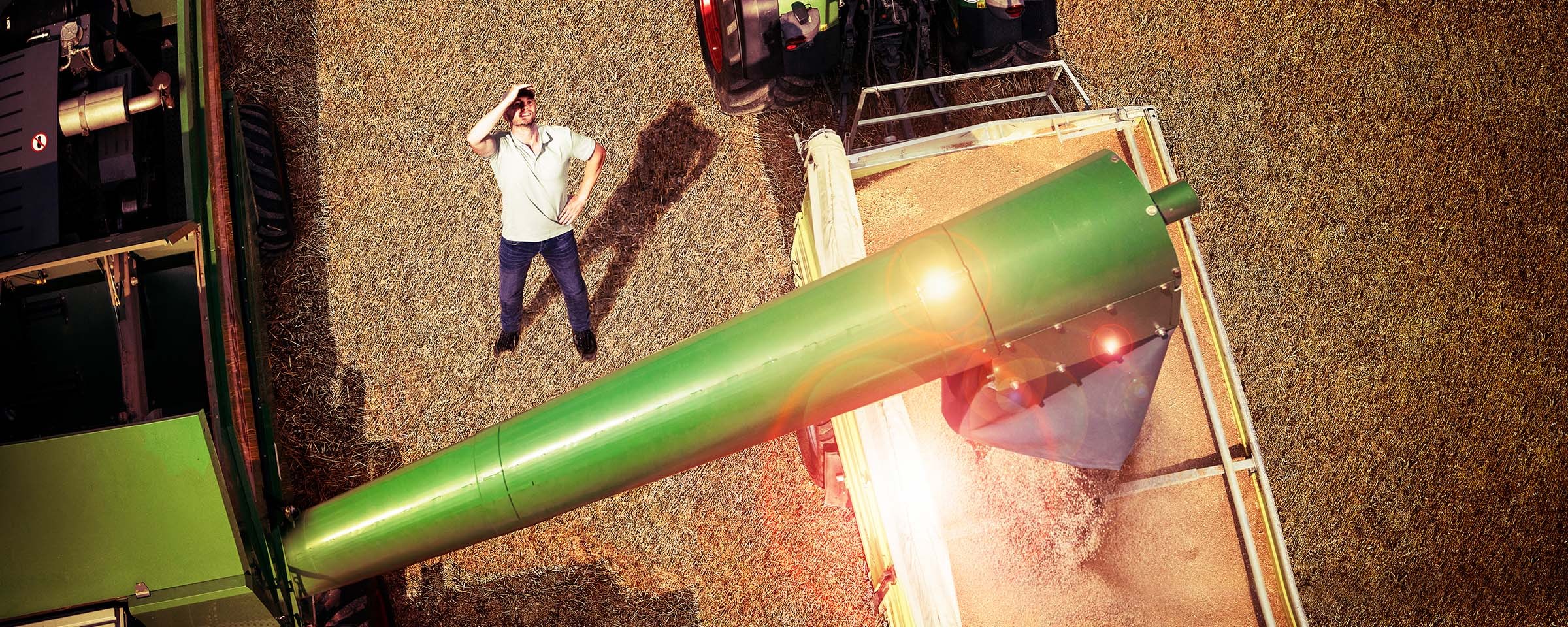 zemědělec hledí nahoru k úrodě sypající se do nakladače