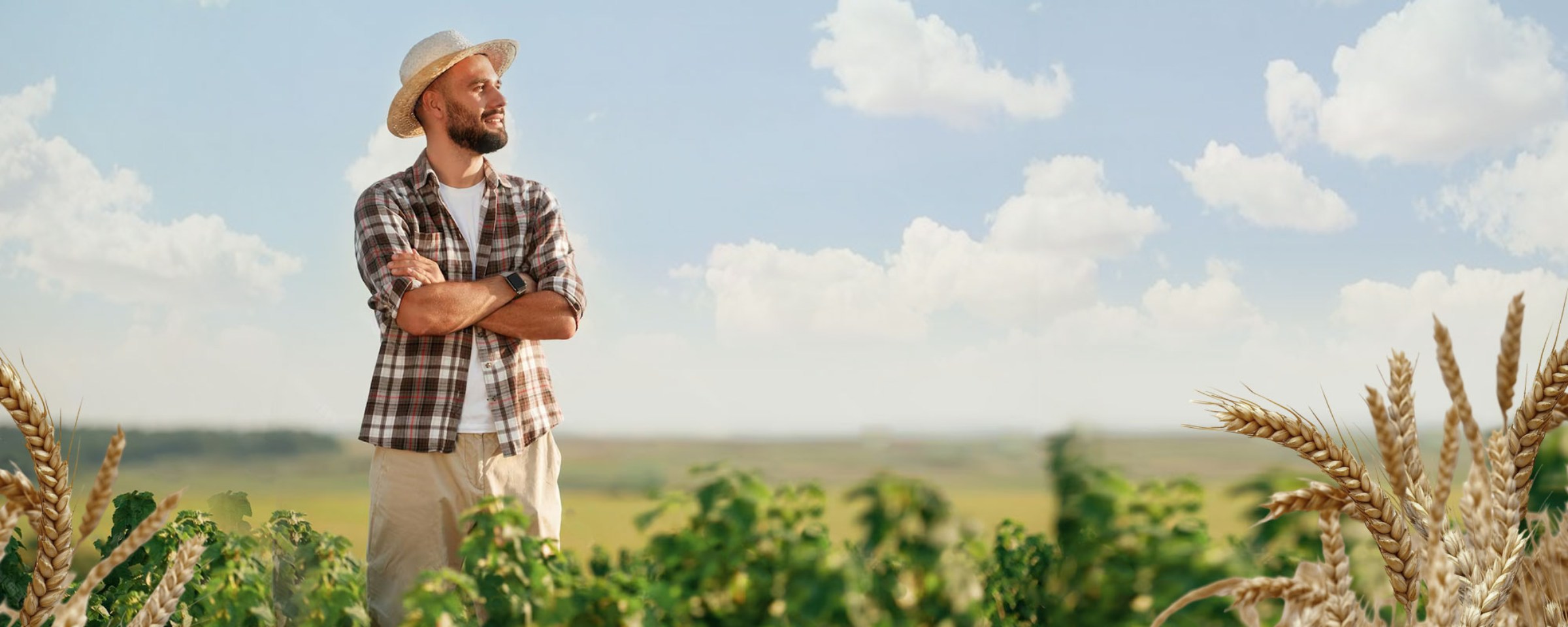muž stojí v poli a přemítá