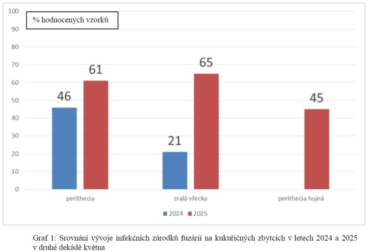 graf ukazuje různé zárodky fuzárií v letech 2024 a 2025