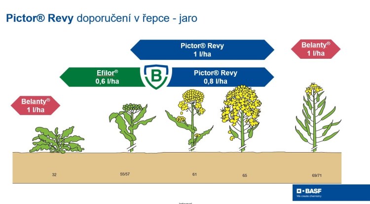 Základní dávka přípravku Pictor® Revy je 1 l/ha. Při použití v technologii Boskalidového štítu je možné dávku snížit na 0,8 l/ha.