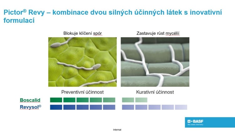 Díky účinné látce Revysol® se zlepšuje kurativní působení přípravku