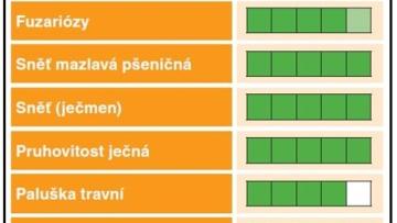 Kinto® Plus