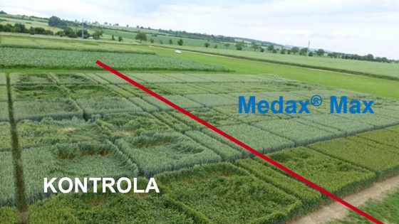 Kontrola versus ošetření Medax Max