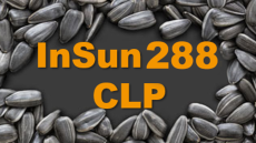 semínka slunečnice a nápis InSun 288 CLP