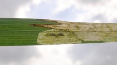 poškození způsobené vrtalkou
