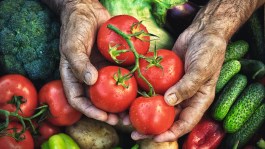 Otázky k ovoci a zelenině