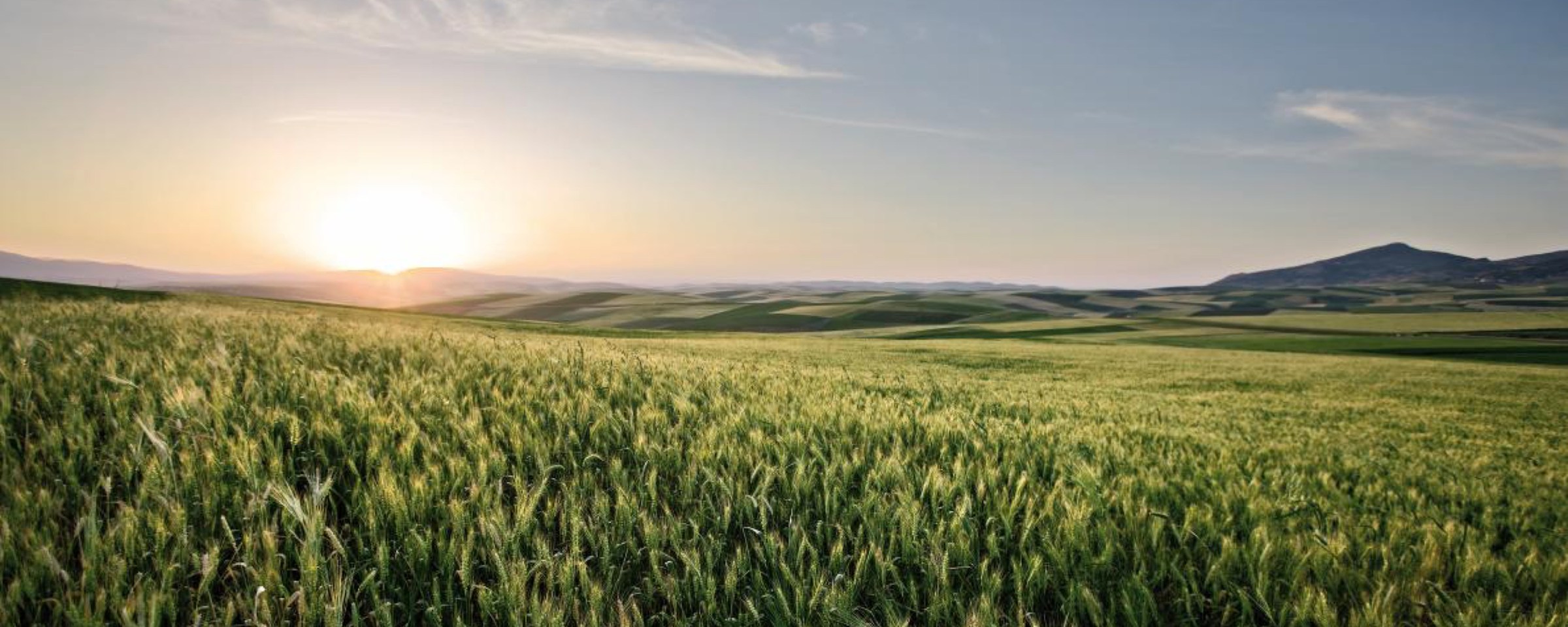 obilné lány se sluncem v opau nízko nad obzorem