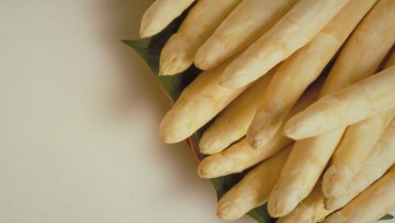 Chřest
