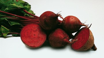 Řepa